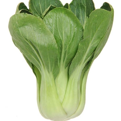 Picture of You Qing Choi F1